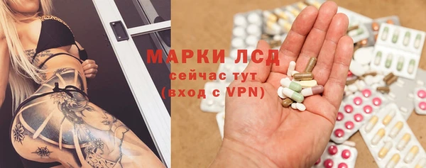 прущие грибы Кодинск