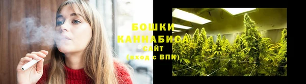прущие крисы Козловка
