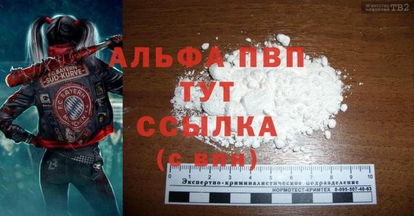 прущие грибы Кодинск