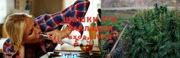 ALPHA PVP Коряжма