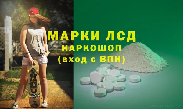 молекула духа Козельск