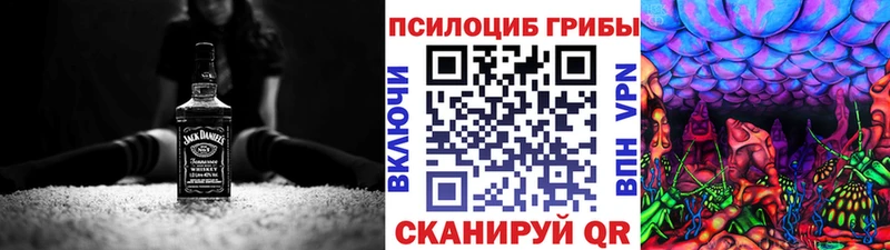 OMG рабочий сайт  Углич  Псилоцибиновые грибы Cubensis 